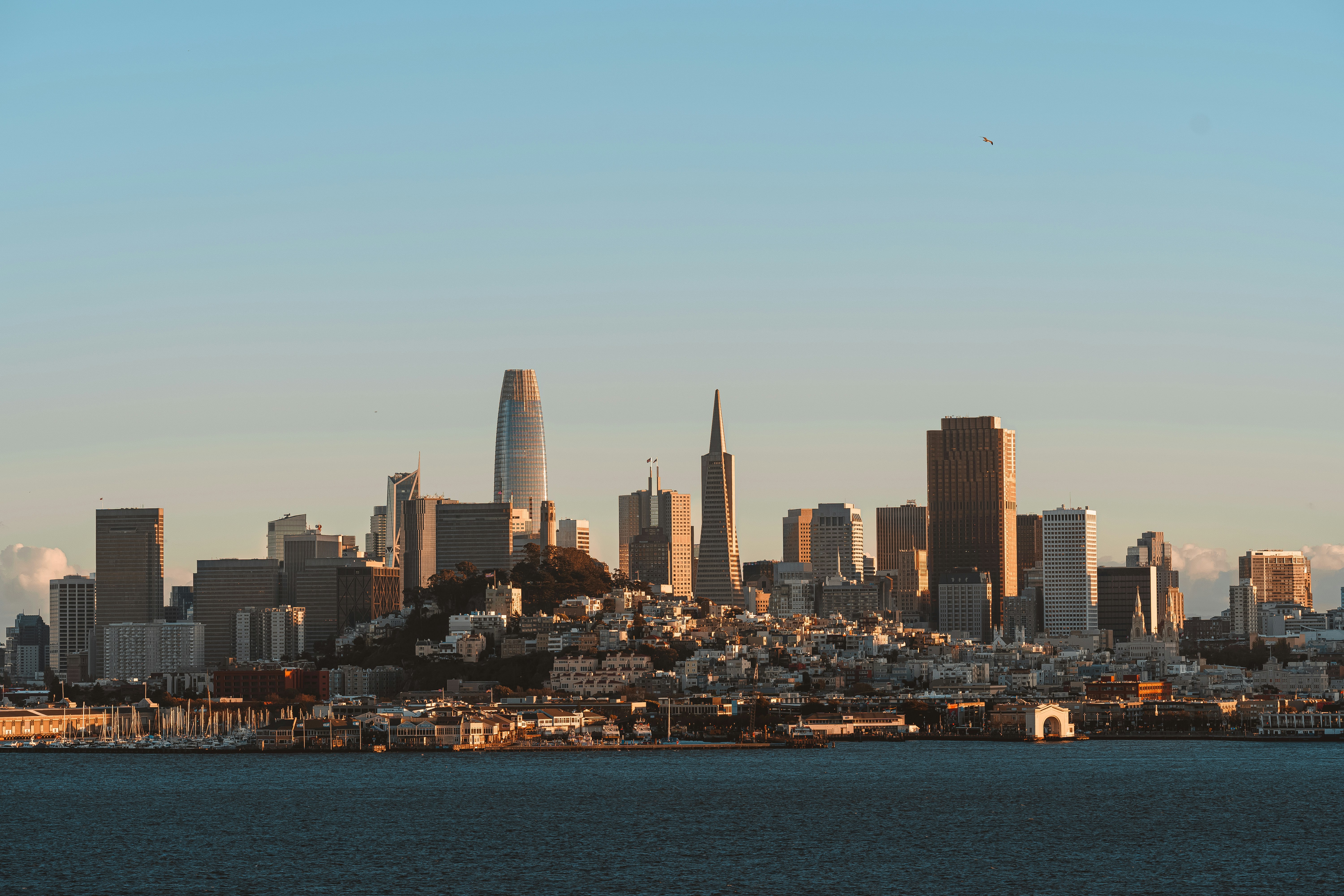 San Francisco - Mauro Lima